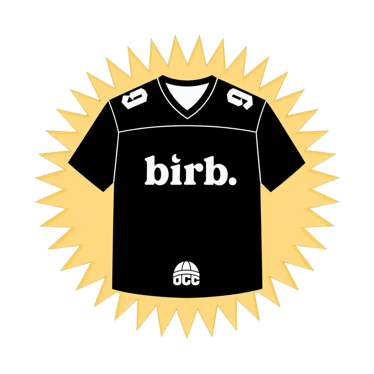 2026 Moonbirds Birb Jersey (specify size)